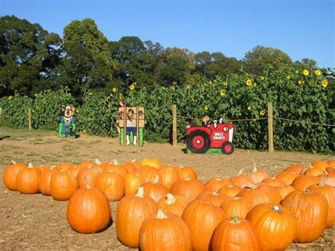 uncle shucks corn maze and pumpkin patch reviews|pumpkin patch georgia.